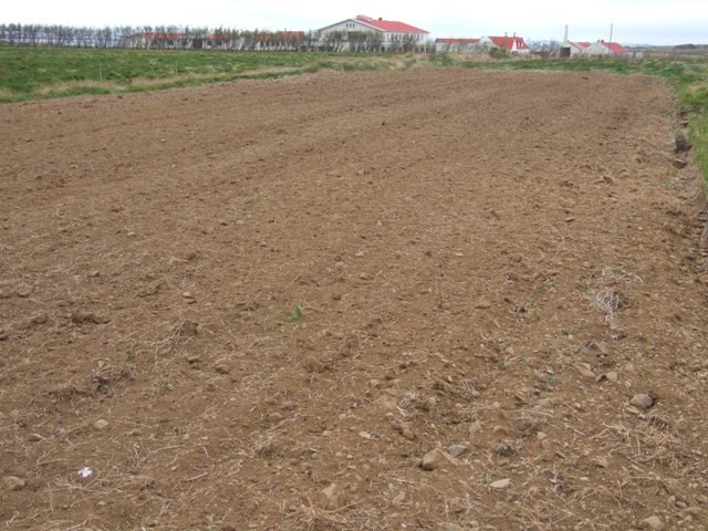 2012_0526_mai_kjalarnes_0073