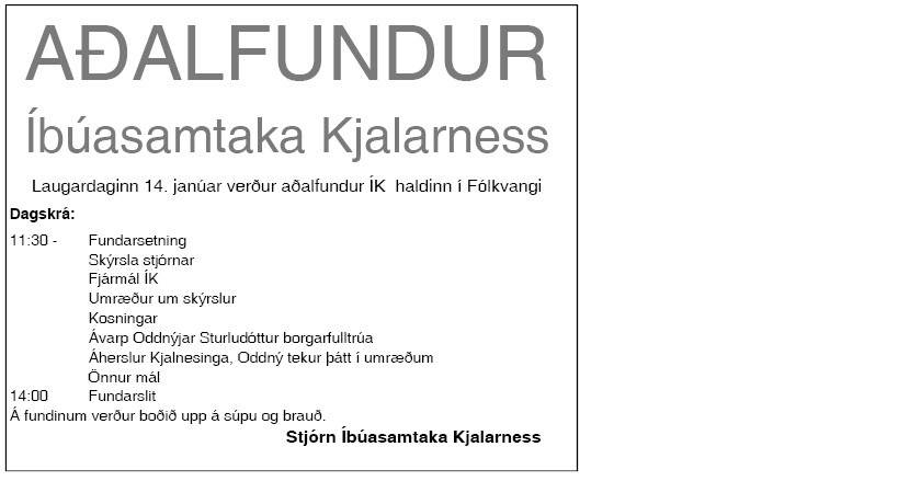 adalfundur ik