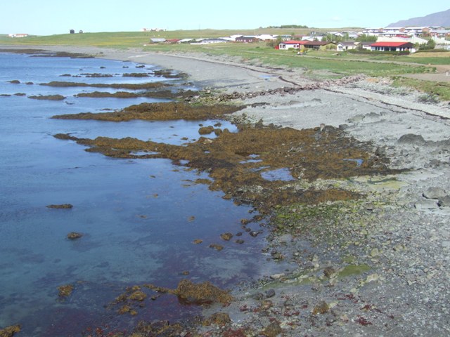 2012_0605_juni_kjalarnes_0027