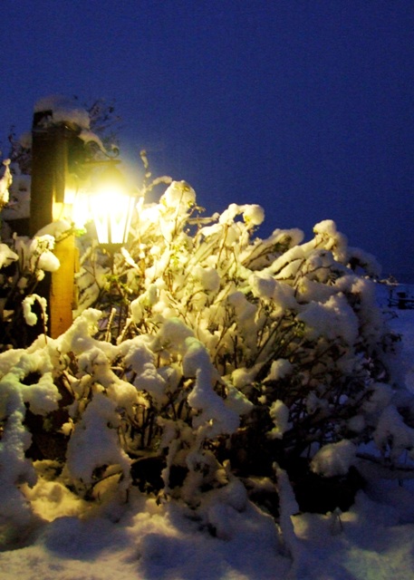 2013_1008_snjor0001_minnkud